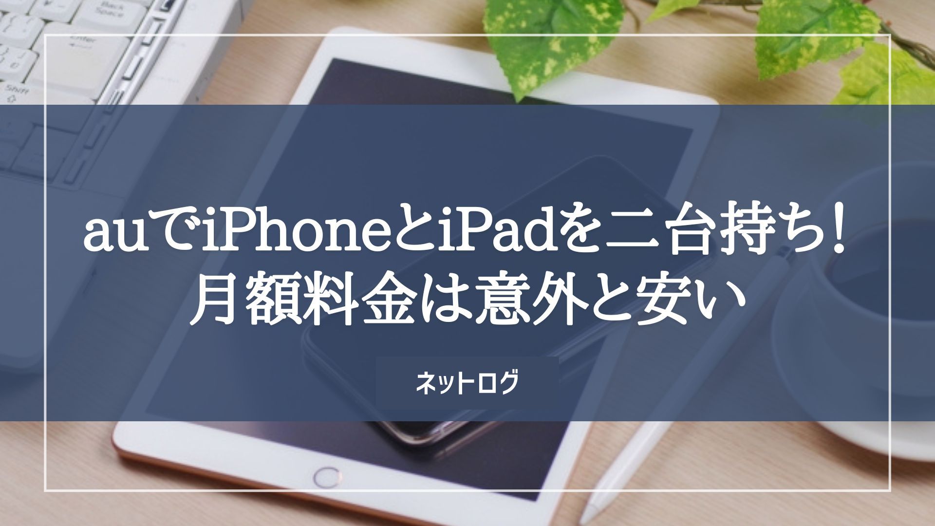 【2024正規品】月末限定お値引き　APPLE iPad Air 2 64GB 中古美品 iPad本体